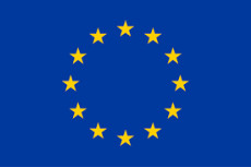 Text Box: DISARM a primit finanțare din programul de cercetare și inovare al Uniunii Europene Orizont 2020 în temeiul acordului de finanțare nr. 817591